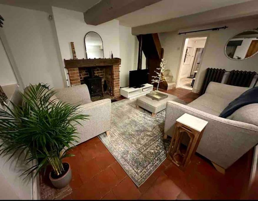 1 Appletree Cottages, Hot Tub的带沙发和壁炉的客厅