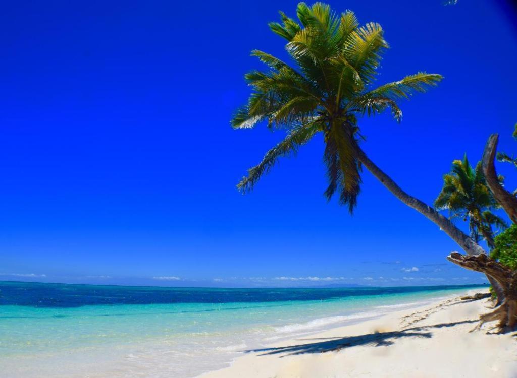 Nanuya Lailai日出泻湖民宿的海滩上的棕榈树与大海