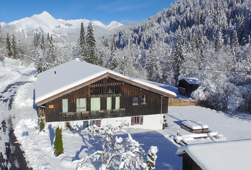 莱热Ferme Liberté - stunning, comfortable, & modern sleeps 14- private mini van的雪中小屋,有雪覆盖的树木和山脉