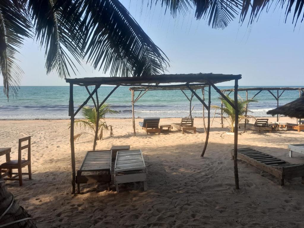 BrufutSmile Gambia Beach Bar的一群长椅,在海滩上与大海交汇