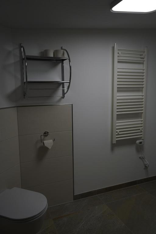 马里恩黑德Bruchersee 4 oberbergisches Land的浴室设有白色的卫生间和镜子