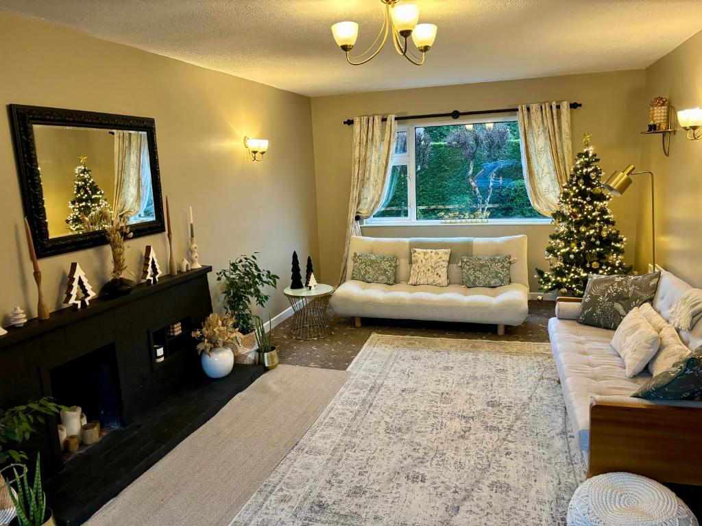 基利赫维林The Menapian House Enniskillen的客厅配有圣诞树和沙发