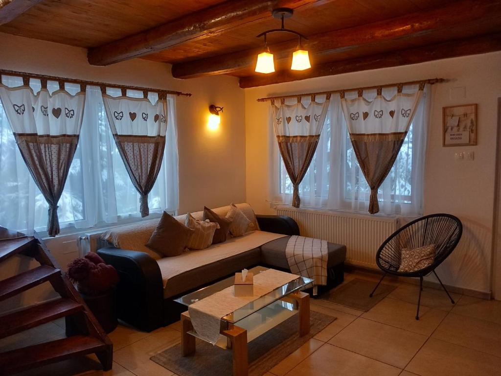 Sîntimbru-BăiAndilak vendégház的带沙发的客厅和部分窗户。