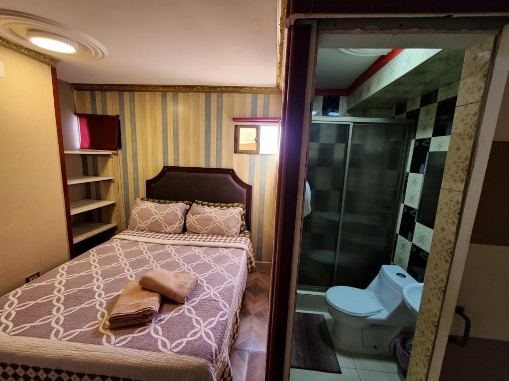 Alto HospicioHotel La Pampa的一间卧室设有一张床、淋浴和卫生间