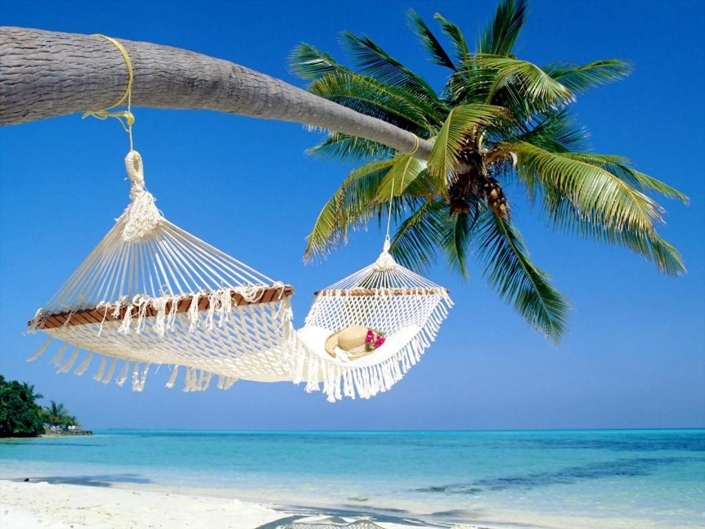 圣彼得堡Affordable Two Bedroom Tropical Condo - Private Beach, Pools, Hot Tub的躺在海滩上棕榈树上吊床上的女人