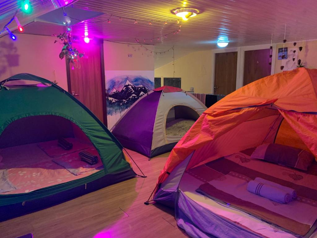 第比利斯Tents In Georgia的紫色灯房内的2个帐篷