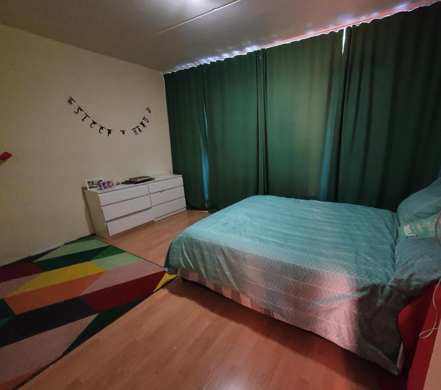阿姆斯特丹Perl的一间卧室配有一张床和绿色窗帘