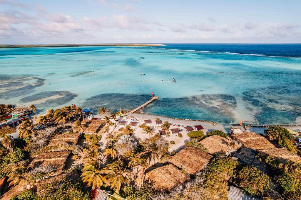 克拉伦代克Sorobon Luxury Beach Resort的享有棕榈树海滩和大海的空中景致