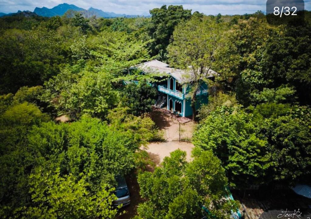 锡吉里亚The Green Heaven Resort的树林中蓝色房子的空中景色