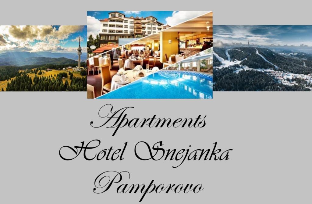 潘波洛沃Apartments Hotel Snejanka Pamporovo的一张照片,上面是度假村与酒店冠军的字样