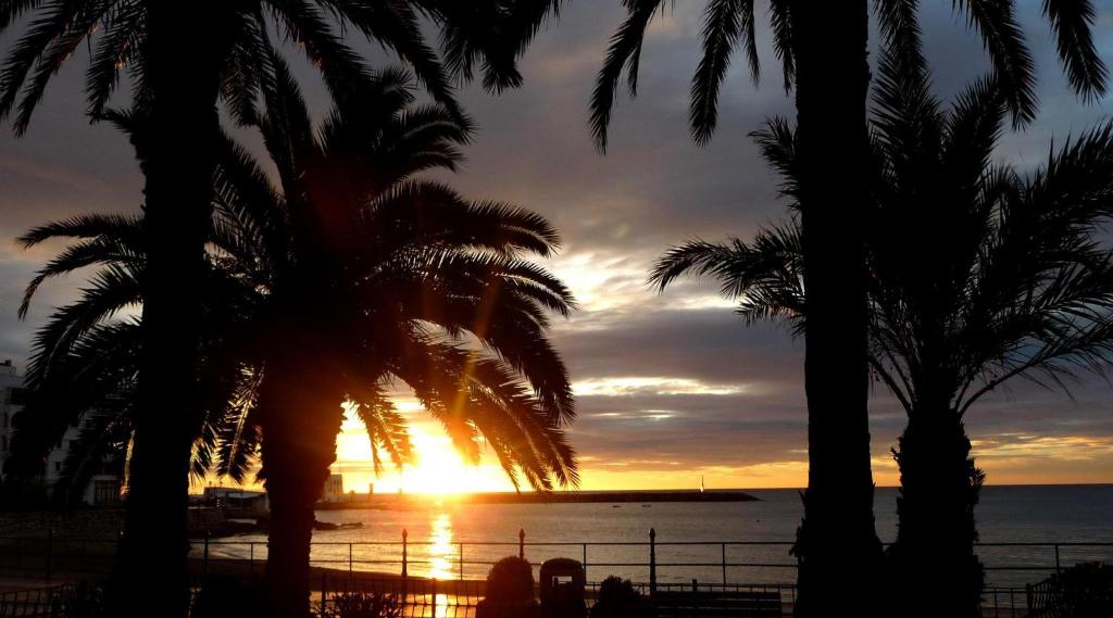 圣埃乌拉利亚耶比萨旅舍的棕榈树海滩上的日落