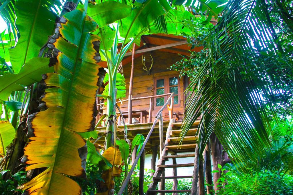 锡吉里亚Kolon Resort Sigiriya的森林中带楼梯的树屋