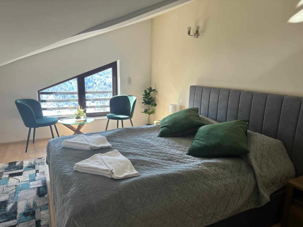 潘波洛沃Pamporovo Rhodopi Pearl Apartments - Private Apartments的一间卧室配有一张带绿色枕头的床和一张桌子