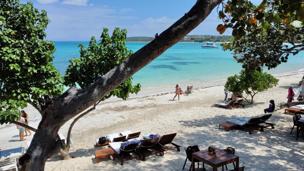 蓬塔露奇亚Blue Island Punta Rucia的海滩上设有桌椅,大海上设有沙滩
