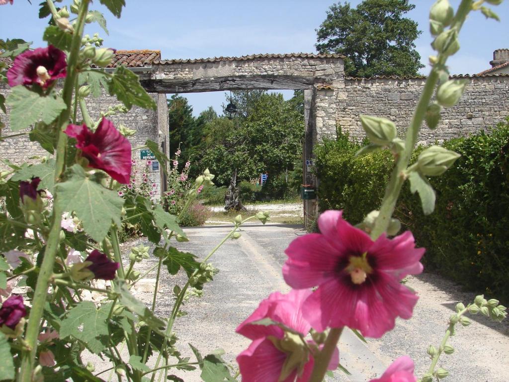 Clavette拉科利基亚勒旅馆的石头门前种有粉红色花的花园