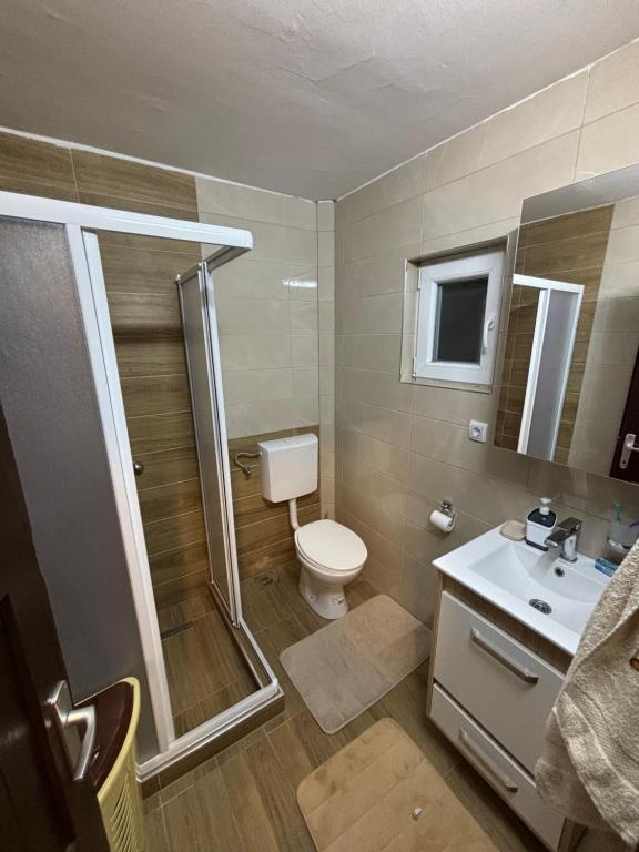 RaškaVujanac vikend kuća的浴室配有卫生间、淋浴和盥洗盆。
