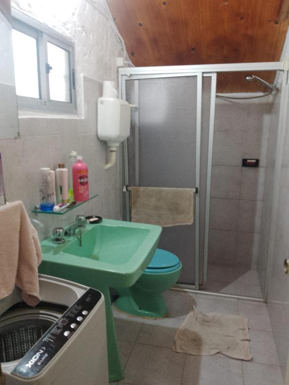 阿加斯杜尔斯Alvaro的一间带绿色水槽和淋浴的浴室