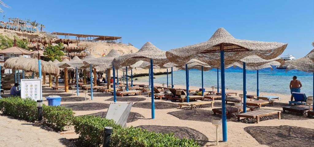 沙姆沙伊赫Sharks Bay Oasis Resort & Butterfly Diving Center的海滩上设有遮阳伞和椅子,还有大海