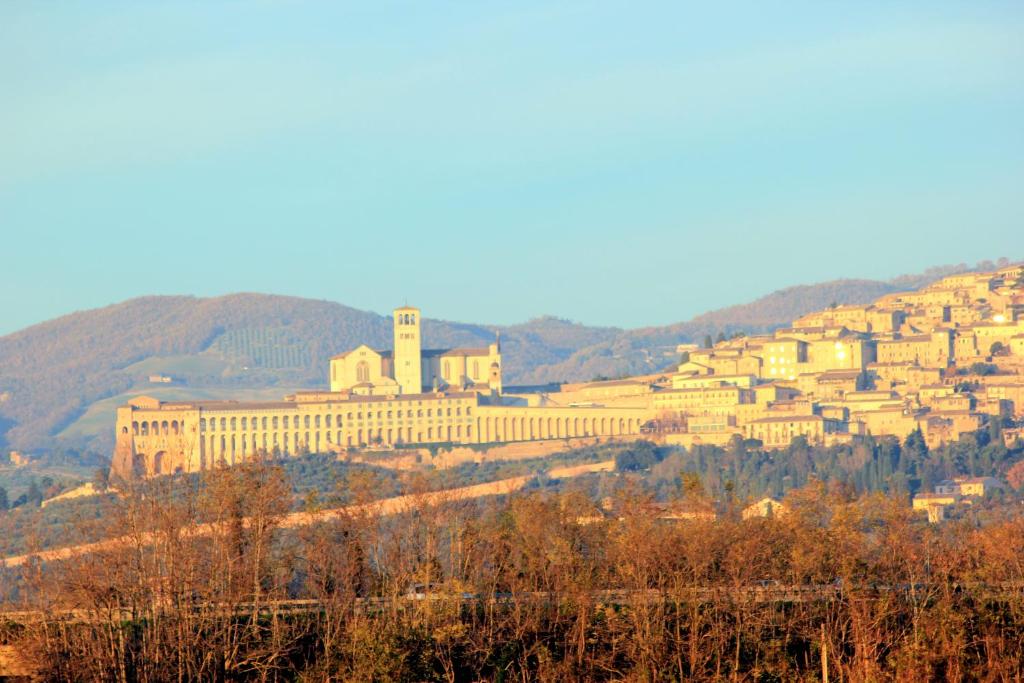 安杰利圣母B&B Panorama d'Assisi的山顶上一座有建筑的城镇