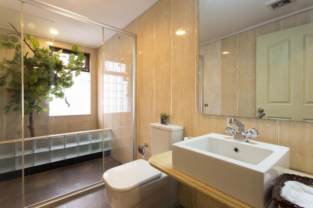加德满都斯塔帕拉瓦亚布公寓酒店 的一间带水槽、卫生间和镜子的浴室