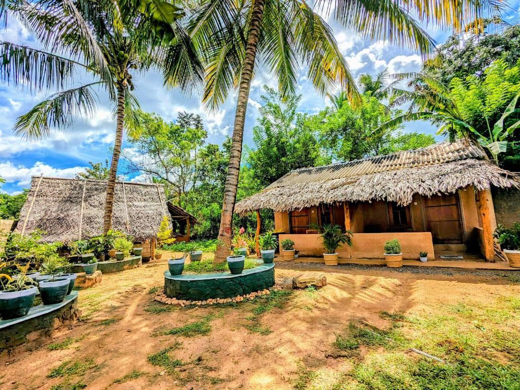 达瓦拉维Maika safari lodge的草屋顶和棕榈树的房子