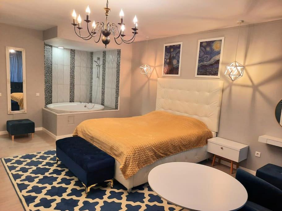 锡纳亚Romantic Jacuzzi Luxury Apartment的一间卧室配有一张床和浴缸