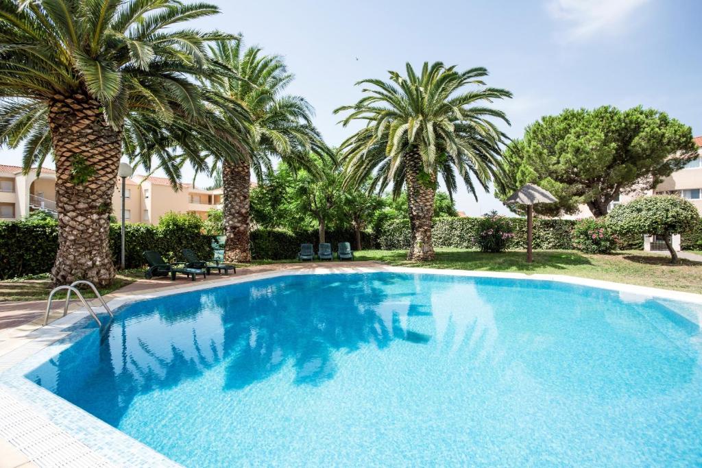 鲁西隆地区卡内ibis Styles Perpignan Canet En Roussillon的庭院内棕榈树游泳池