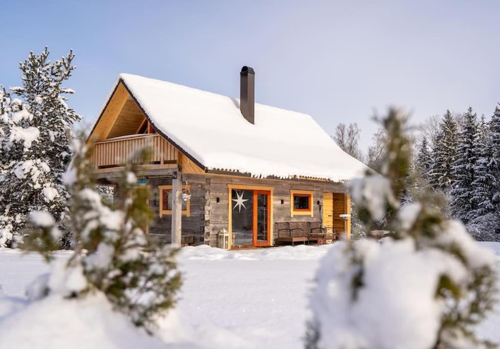 VoseKakerdaja Private Sauna的雪地小木屋