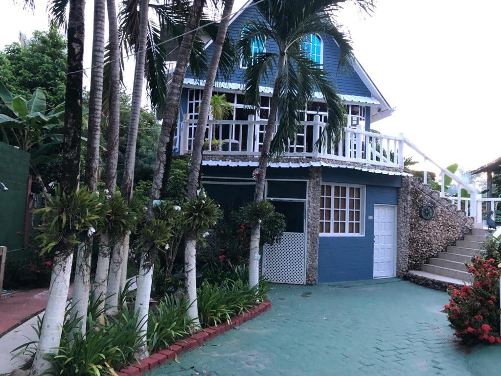 圣安德烈斯San Andres Ultd Inn RNT # 30017的前面有棕榈树的房子