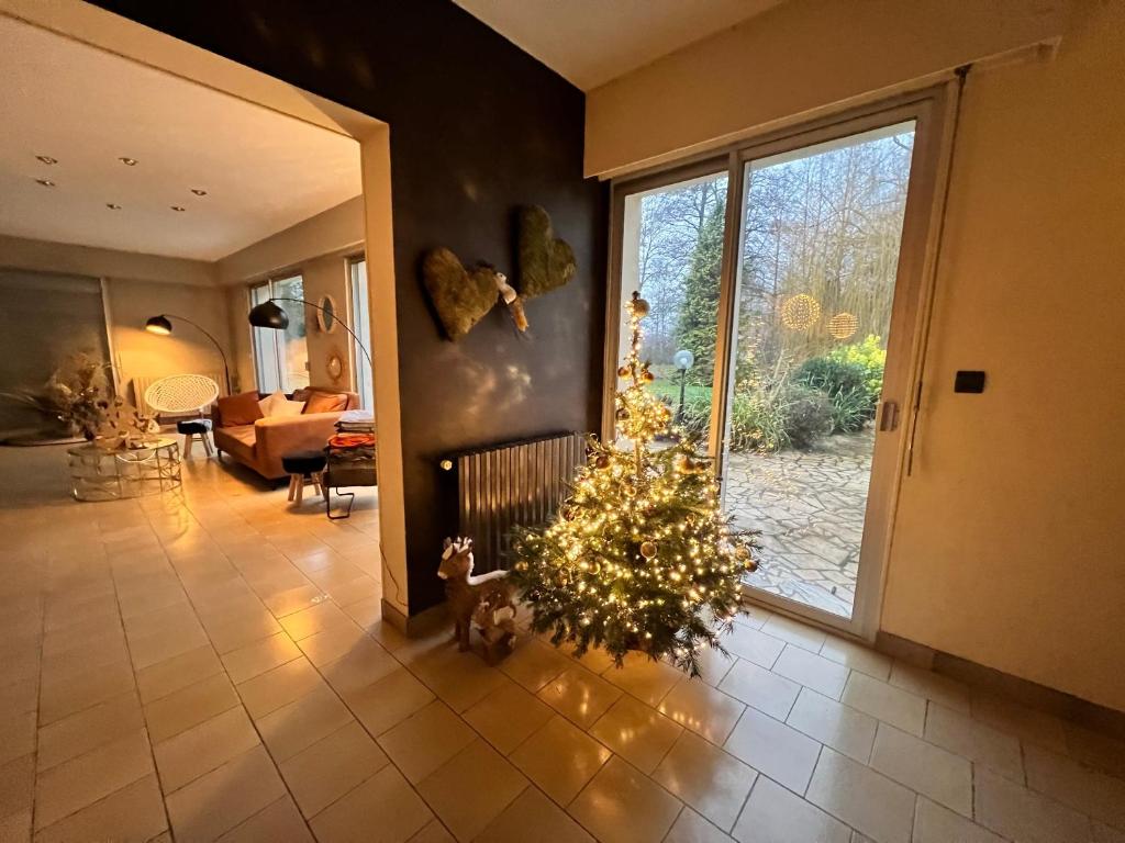 Saint-Germain-sur-BresleLa Lumineuse du Moulin的客厅的地板上挂着圣诞树