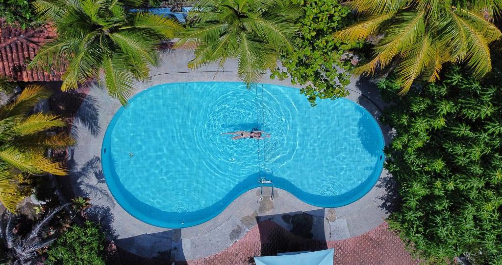 伊基托斯Poseidon Guest House的享有棕榈树游泳池的顶部景致