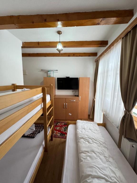 萨拉热窝Bjelasnica-Villa-Treskina dvorišta-Apartmani-Izletište-Ribnjak的客房设有两张双层床和电视。