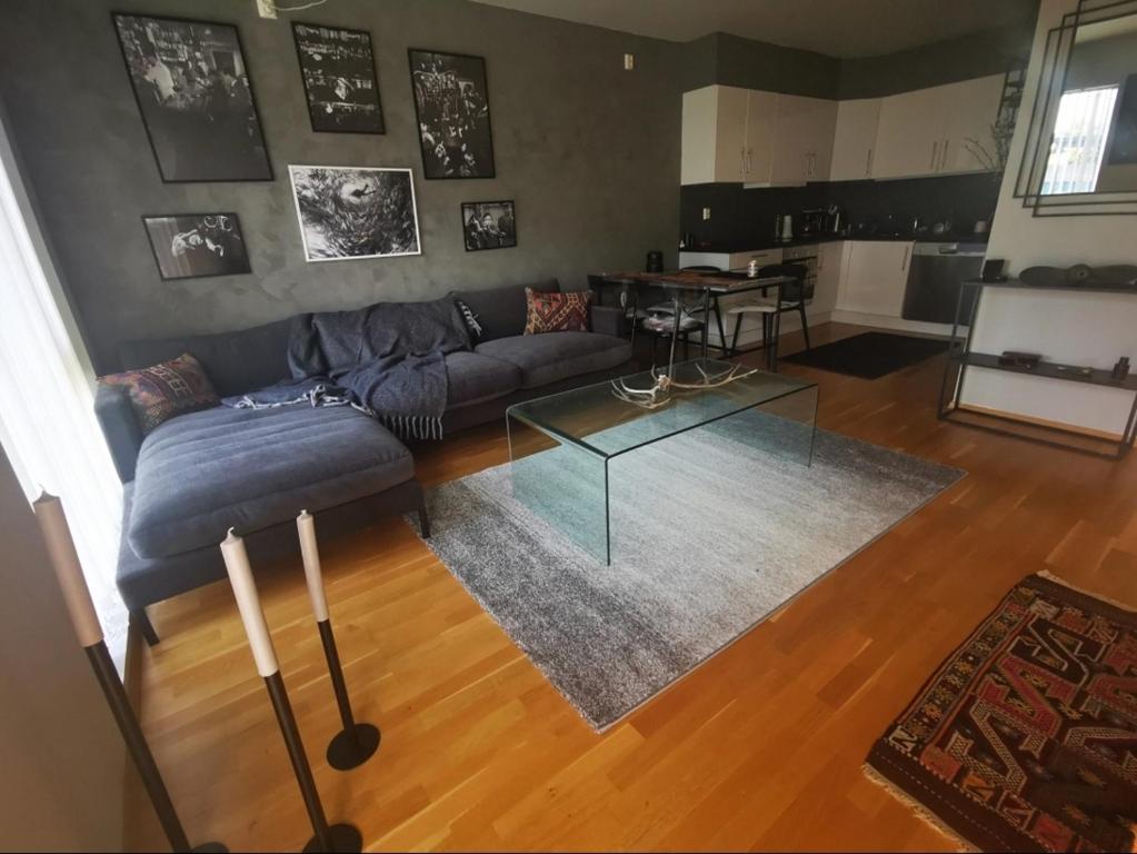 海宁格松Haugesund centrum apartment的带沙发和玻璃桌的客厅