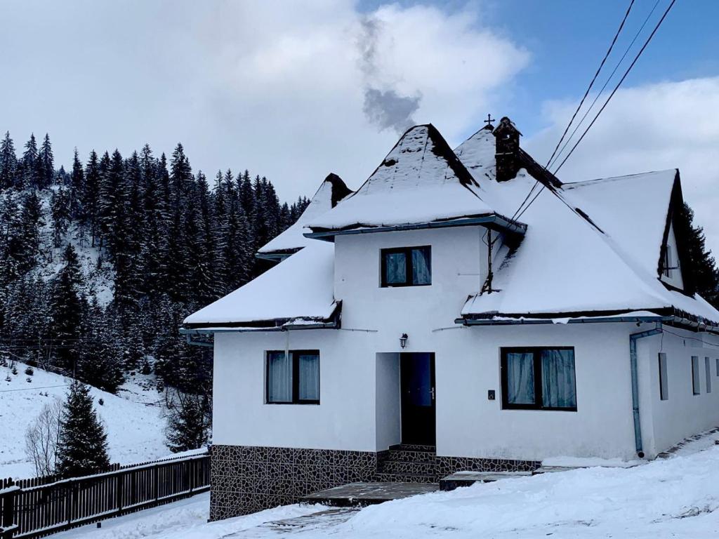 凡达提卡Pensiunea Valea Dorului的屋顶上白雪的房子
