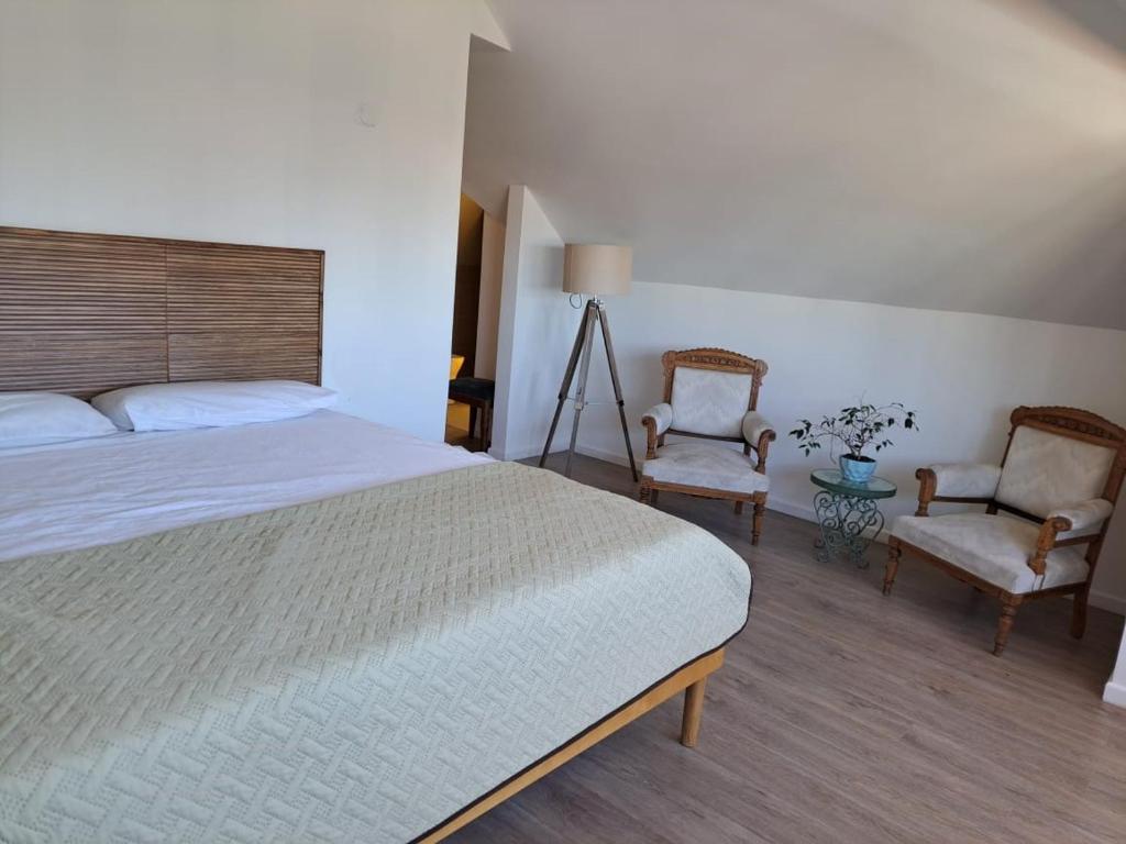 维纳德马Antigua Viña Bed and Breakfast的一间卧室配有一张床和两把椅子