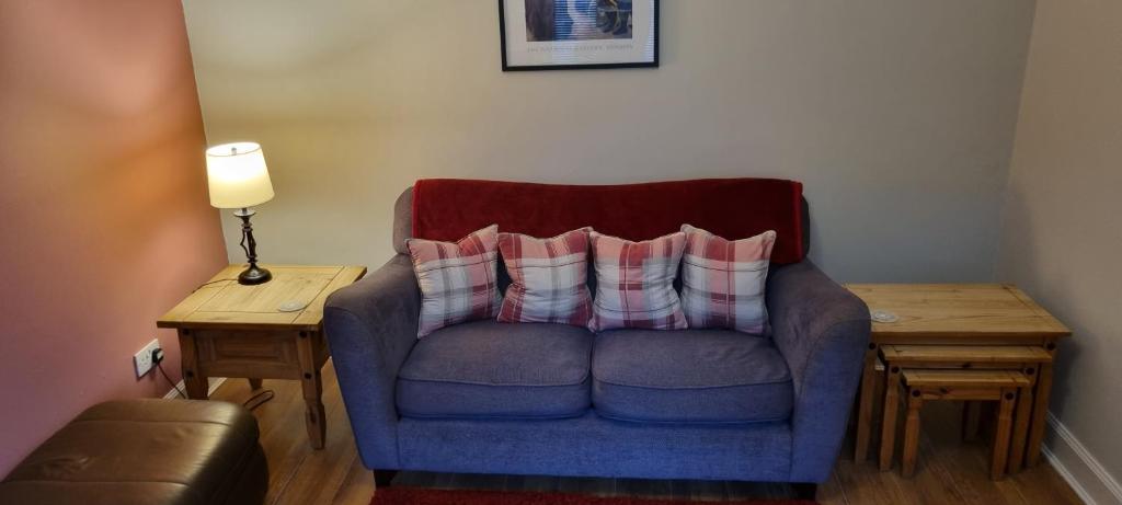 邓弗姆林Millhill St Dunfermline的一张蓝色椅子和两个枕头