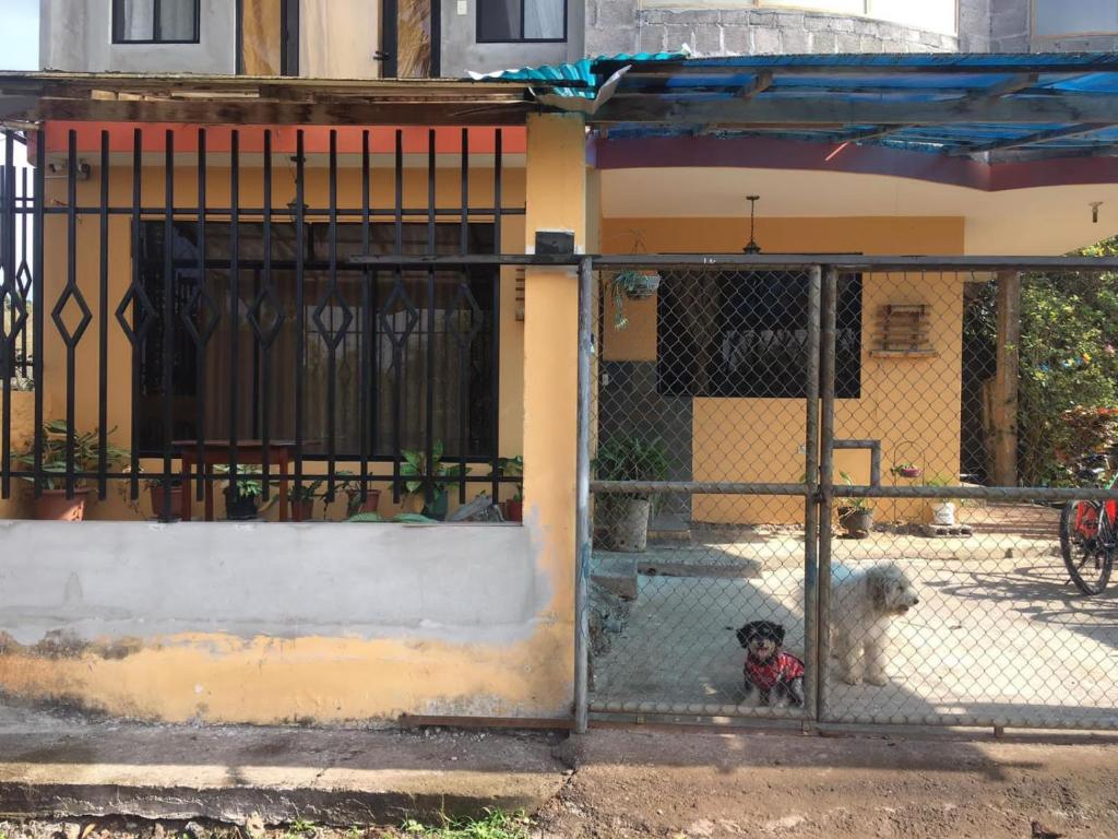 巴克里索莫雷诺港Casa de Alojamiento Muyuyo House的两只狗坐在房子前面的围栏后面