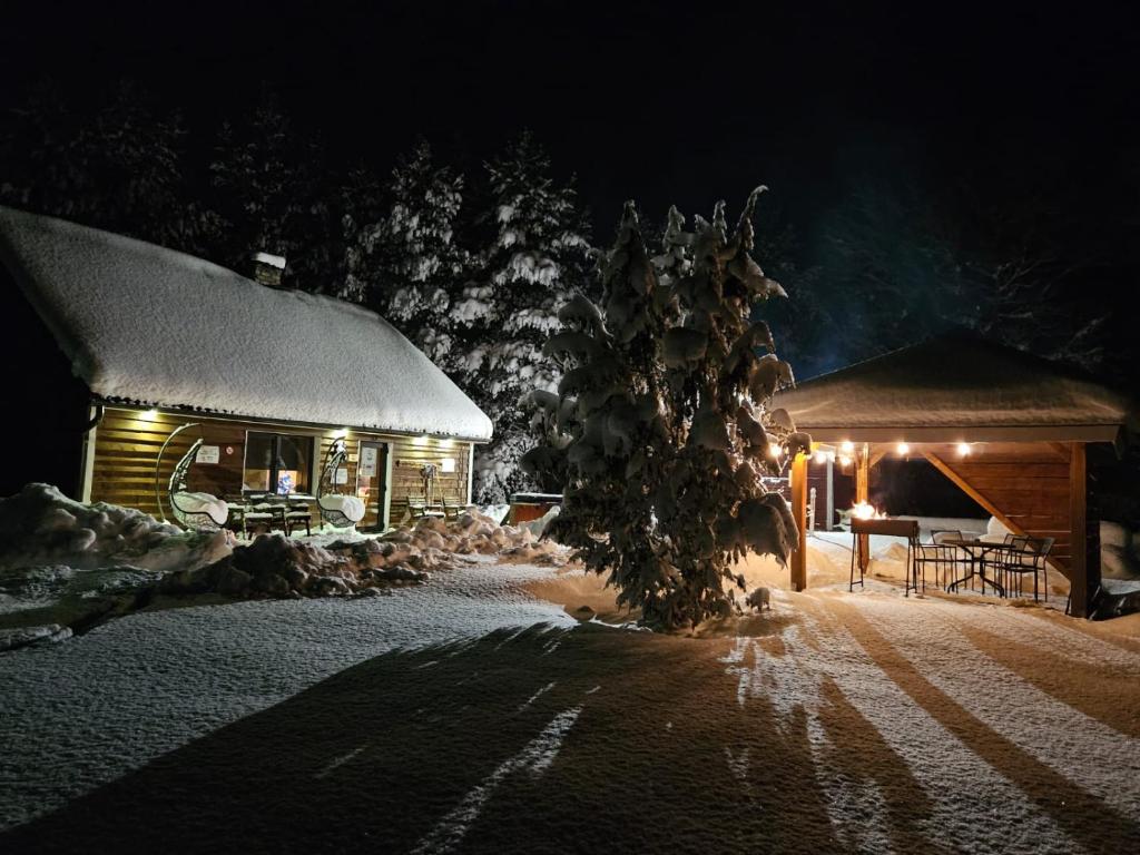 SämiSämi Siil的雪中的一个小木屋