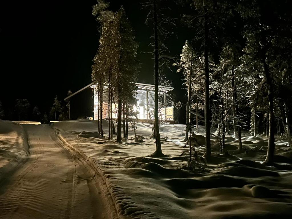 伊纳利Villa Paadari的雪中树下的房屋