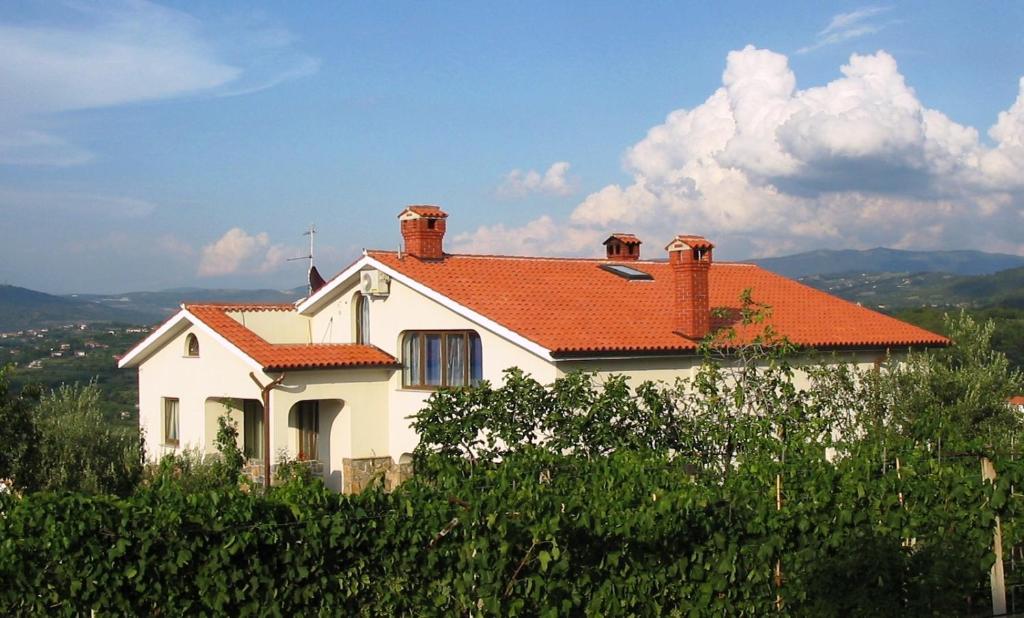 科佩尔布图尔之家农家乐的山坡上一座白色房子,屋顶橙色