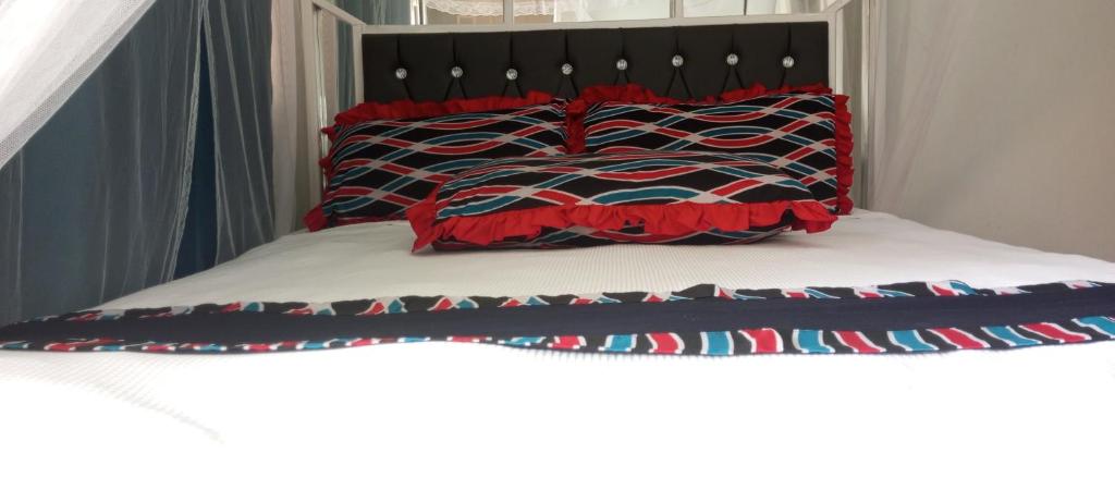 GuluHotel Judith Laroo Gulu City的一张带红色和黑色枕头的床