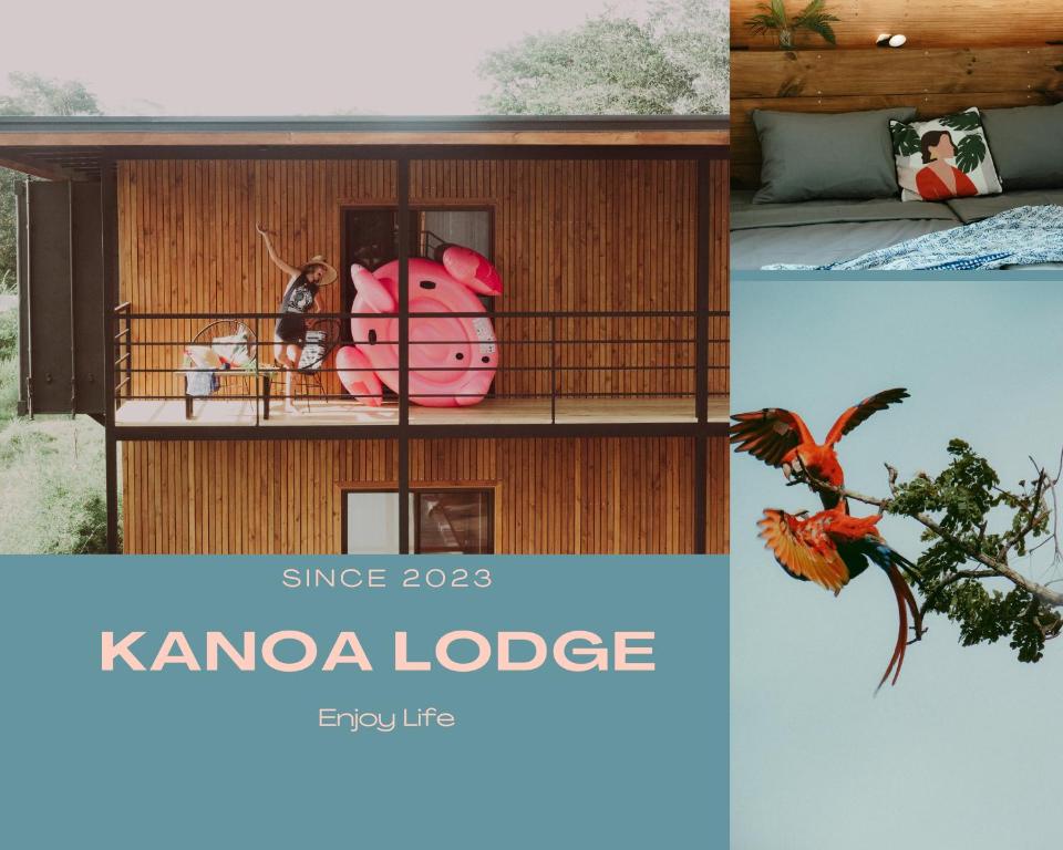 帕沃内斯Kanoa Lodge - Adults and 13 plus only的考拉小屋照片的拼合