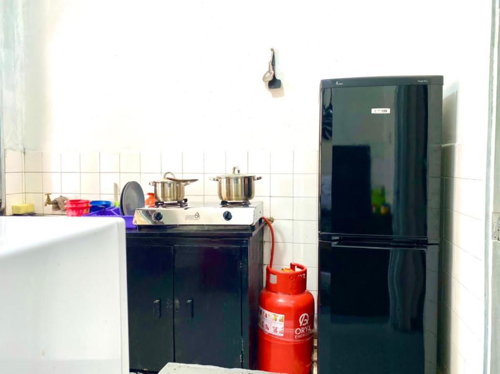 坦噶Drew Apartment Tanga的厨房配有冰箱和带锅的炉灶。
