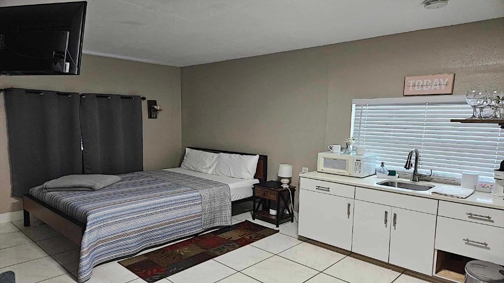 坦帕Green Castle Apartment in Tampa Near Airport and Busch Gardens的一间带床和水槽的小卧室
