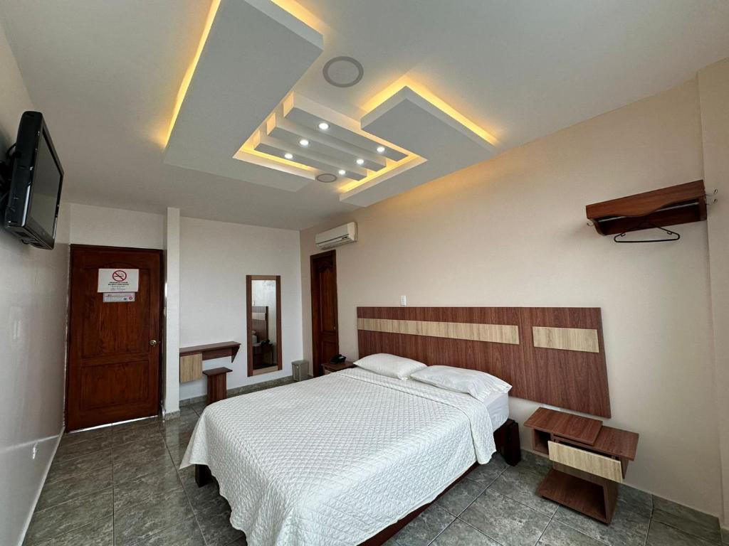 圣多明各德洛斯科罗拉多斯Hotel Torre Azul的一间卧室配有一张床和一台电视。