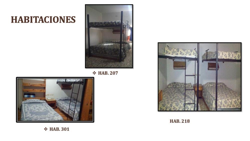 维多利亚城Hostal de Escandón的客房内两张双层床的照片