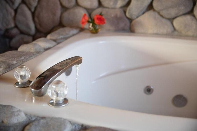 大熊湖2401 - Oak Knoll Studio with Jacuzzi #2 cabin的浴缸,浴缸上装有红色花卉的盥洗盆