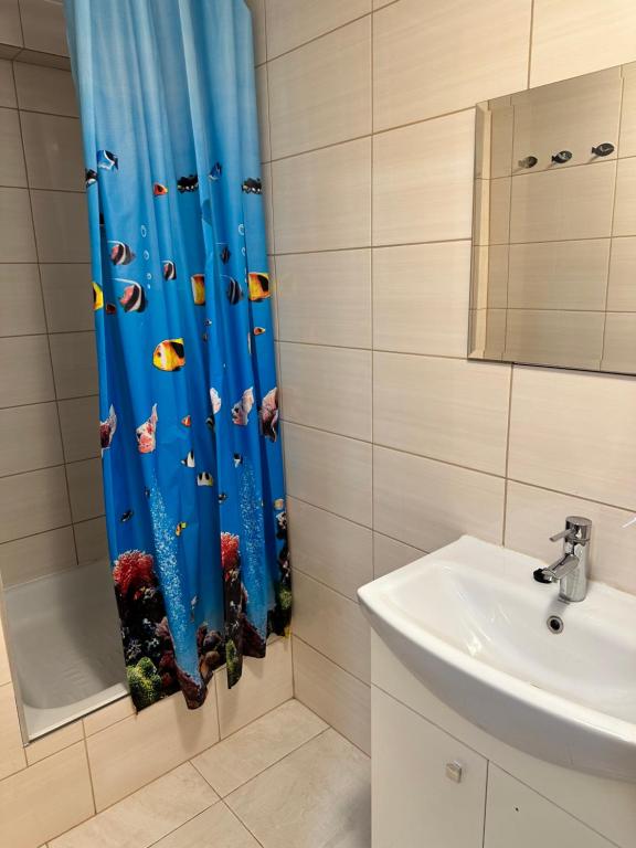 斯维诺乌伊希切Willa Irena的浴室设有淋浴帘,上面有鱼