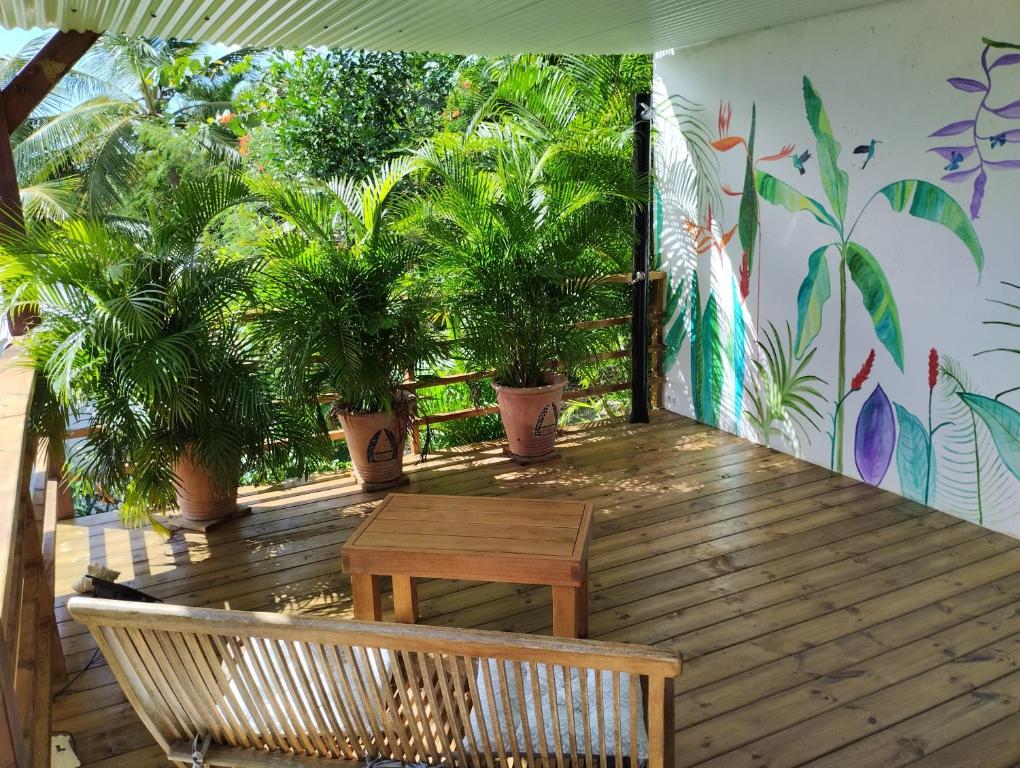 大博格Villa-Coco的木甲板上种有盆栽植物和长凳