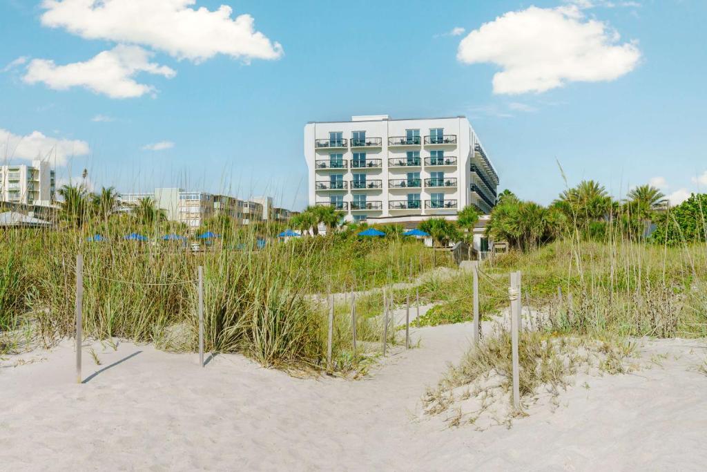 可可比奇Hilton Garden Inn Cocoa Beach-Oceanfront, FL的一片高大的草地海滩和一座建筑